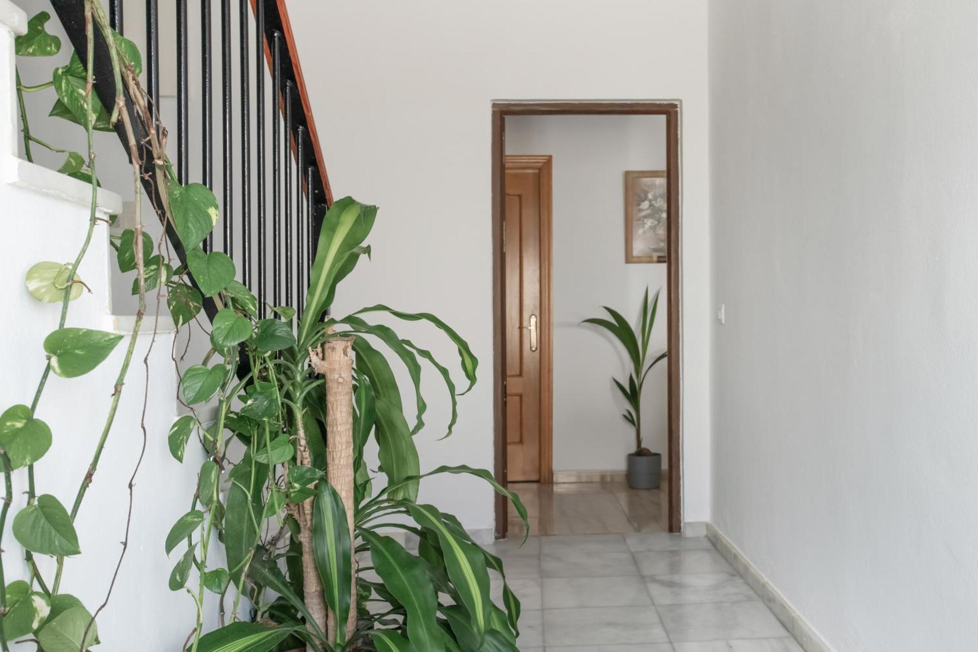 Piso Ureba, Bajo
